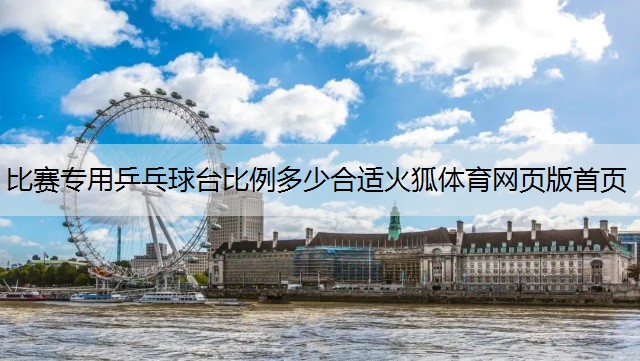 比赛专用乒乓球台比例多少合适火狐体育网页版首页