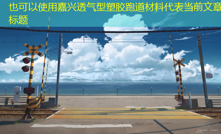 嘉兴透气型塑胶跑道材料
