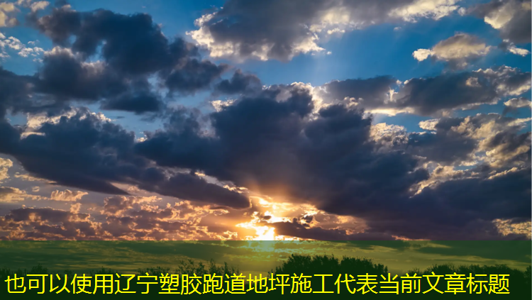 辽宁塑胶跑道地坪施工