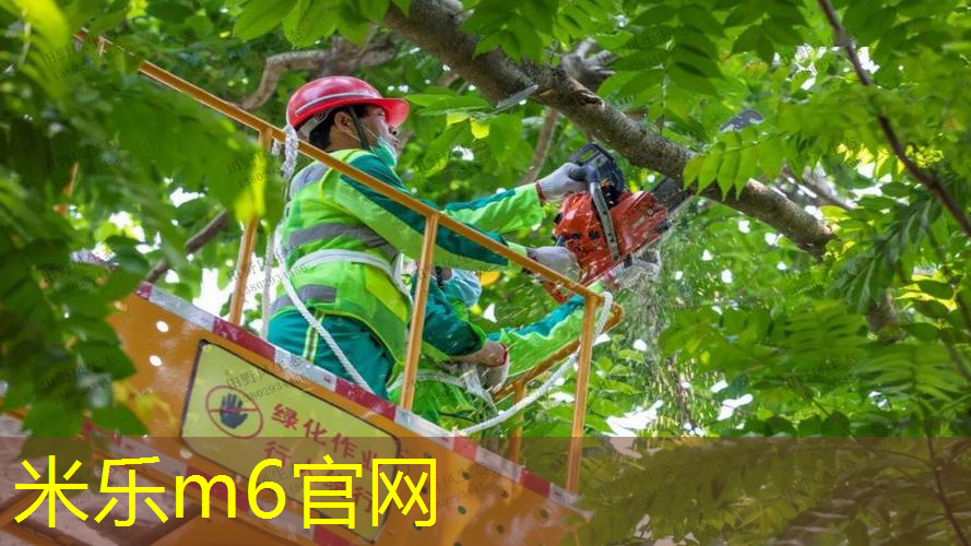 mile·米乐m6：费德勒同款网球拍价格