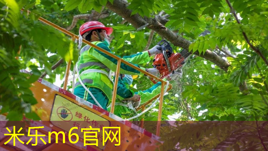 mile米乐m6官网：网球拍选明星款好吗女的