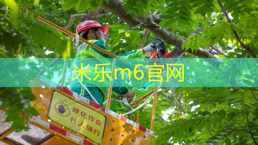 米乐：羽毛球拍托网球拍有用吗_
