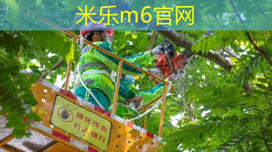mile米乐m6官网：网球拍三角部位裂开