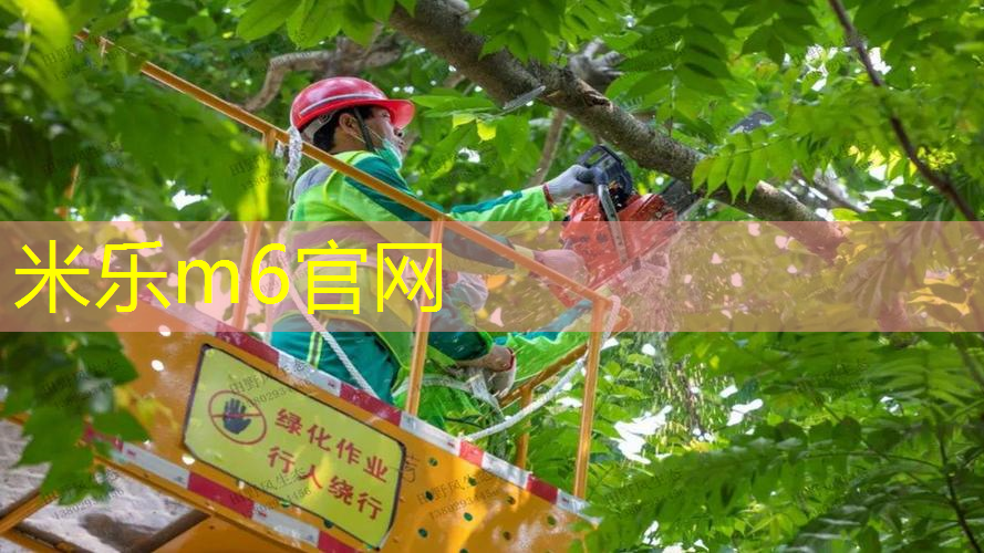 mile米乐m6官网：豪迈网球拍至尊拍王系列