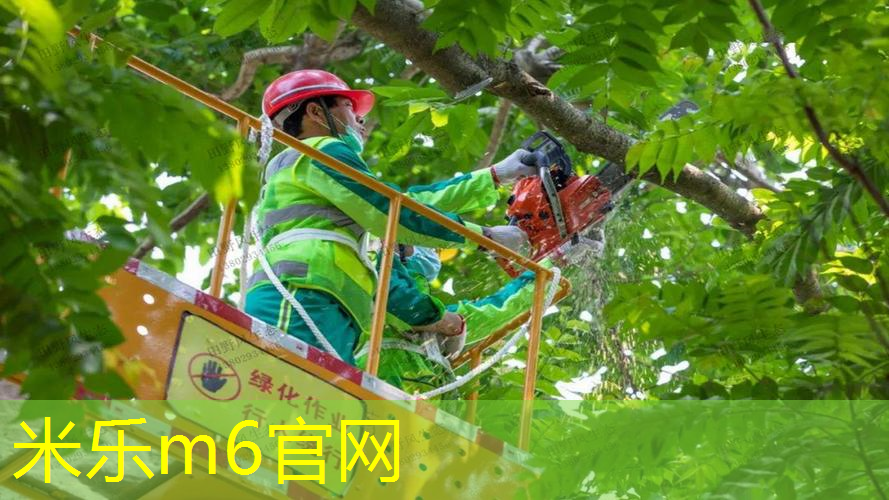 米乐m6官网登录入口：单人网球拍手胶怎么安装