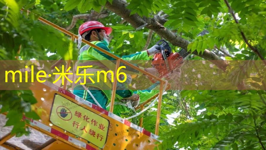 mile米乐m6官网：网球拍手柄怎么换胶皮头