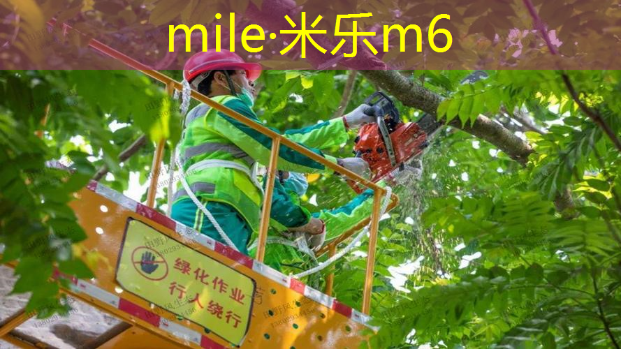 米乐m6官网登录入口：怎么做单人训练的网球拍