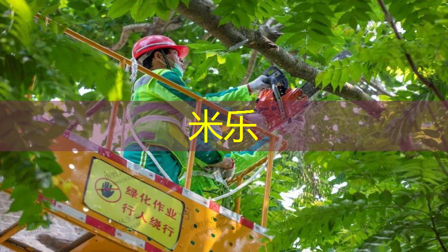 米乐m6官网登录入口：百宝力的初级网球拍