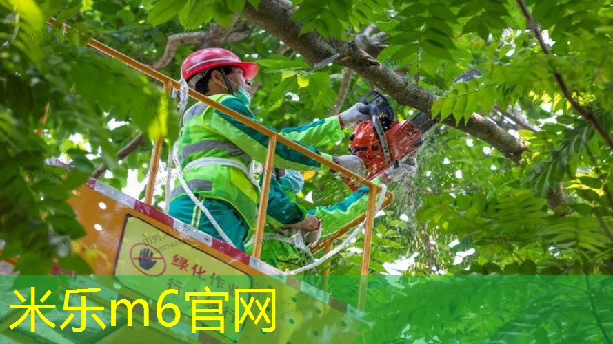 mile米乐m6官网：拿网球拍吹泡泡教案中班