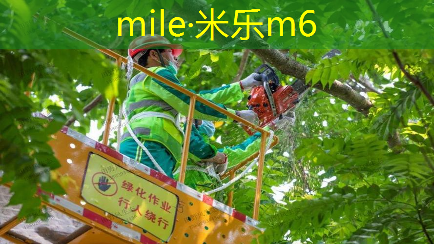 米乐m6官网登录入口：网球拍拍柄的握法图解