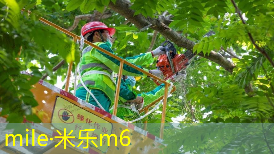 网球拍长时间保存可以吗_