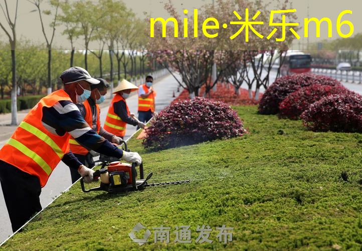 室内健身墙组合器械名称