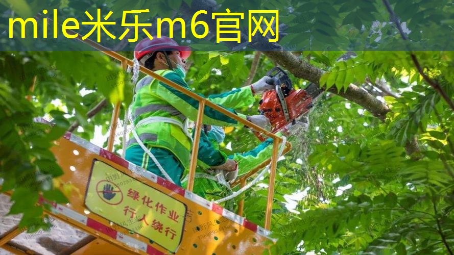 米乐m6官网：乒乓球台的台面是什么材质