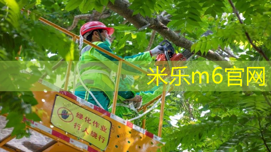mile·米乐m6：单双杠俯卧撑训练法：雕塑强健腹肌和核心力量的秘籍！