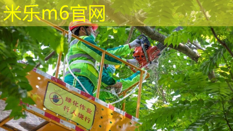 米乐m6官网登录入口：快乐课间！儿童木马带滑梯户外为学生带来欢乐时光