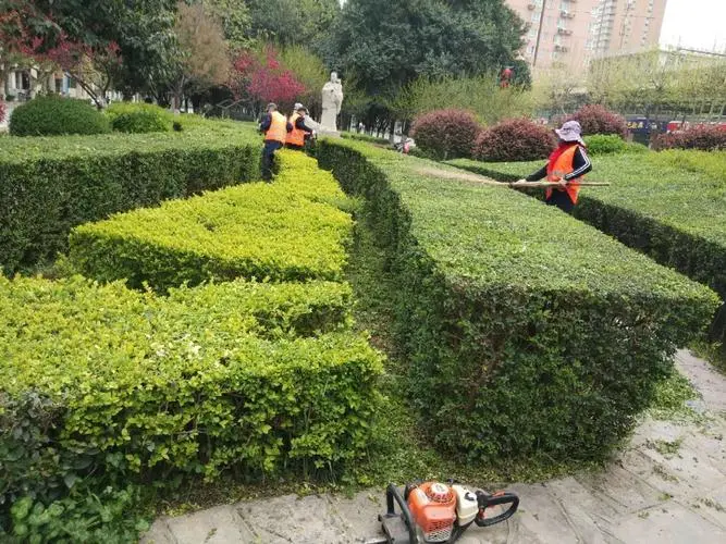 网球拍的分解动作有哪些