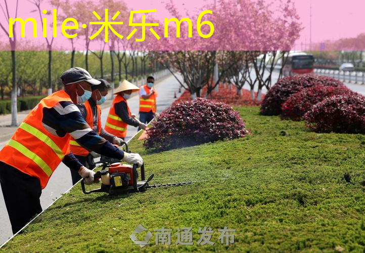 裤子没口袋怎么放网球拍里