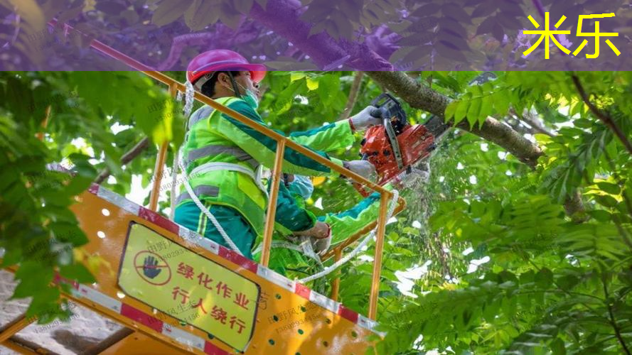 网球拍选明星款好吗女的