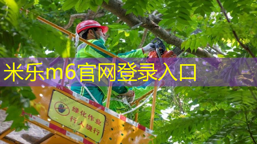 羽毛球拍托网球拍有用吗_