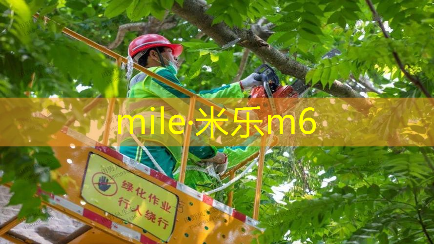 网球拍三角部位裂开