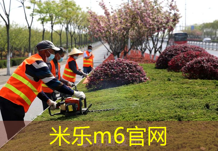 网球拍型号评分怎么看图解