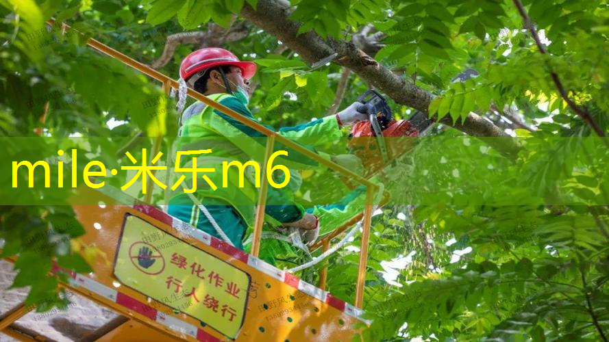 豪迈网球拍至尊拍王系列