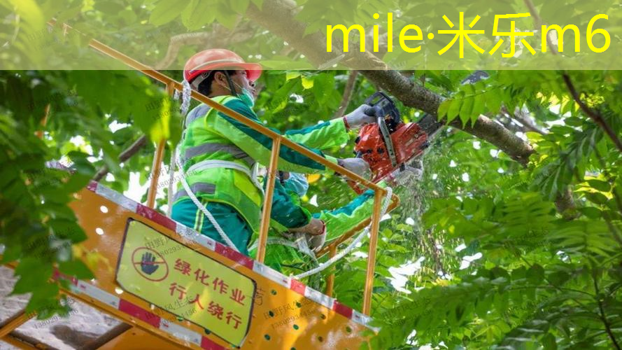 单人网球拍手胶怎么安装