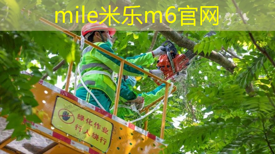 网球拍手柄怎么换胶皮头