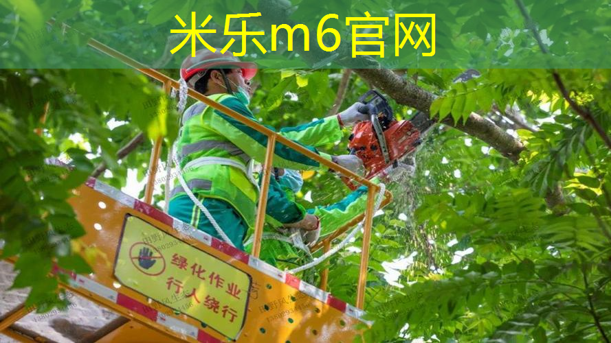 怎么做单人训练的网球拍