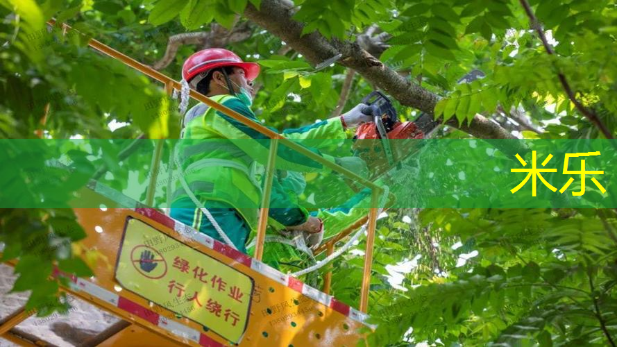 拿网球拍吹泡泡教案中班
