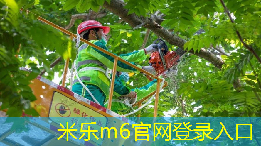 网球拍拍柄的握法图解