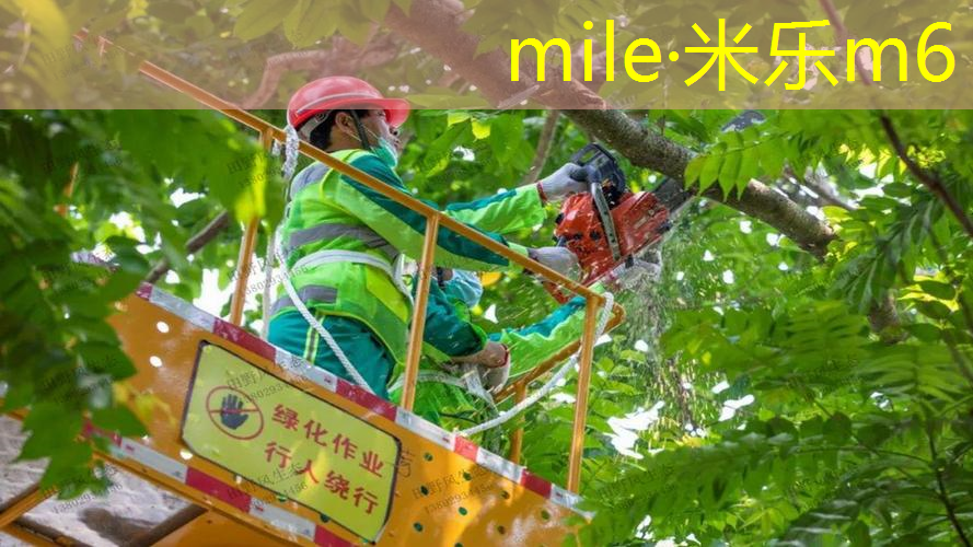 网球拍手柄护套怎么用
