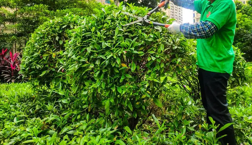 羽毛球如何不碰网球拍