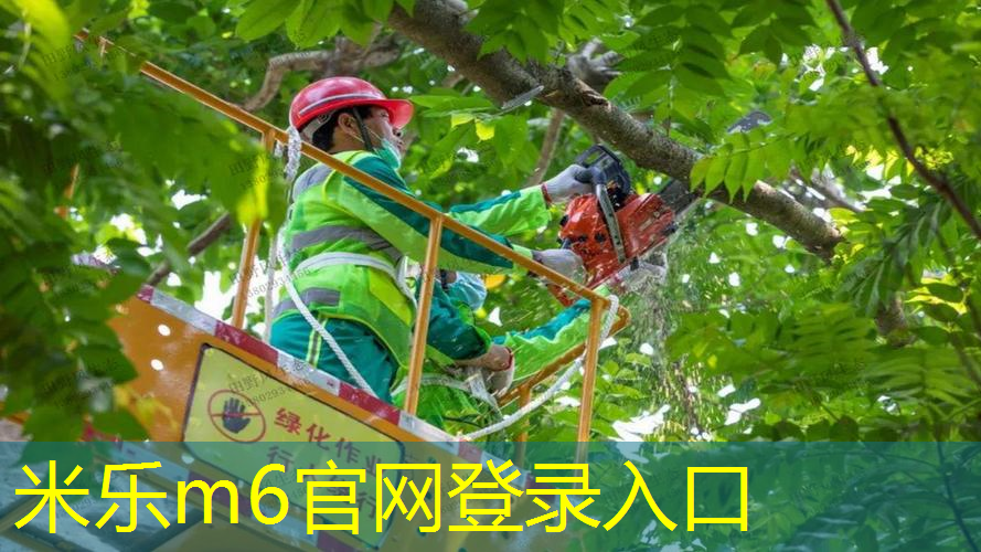 单双杠俯卧撑训练法：雕塑强健腹肌和核心力量的秘籍！