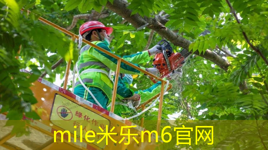 快乐课间！儿童木马带滑梯户外为学生带来欢乐时光